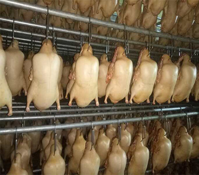 北京四系填鸭胚生产厂